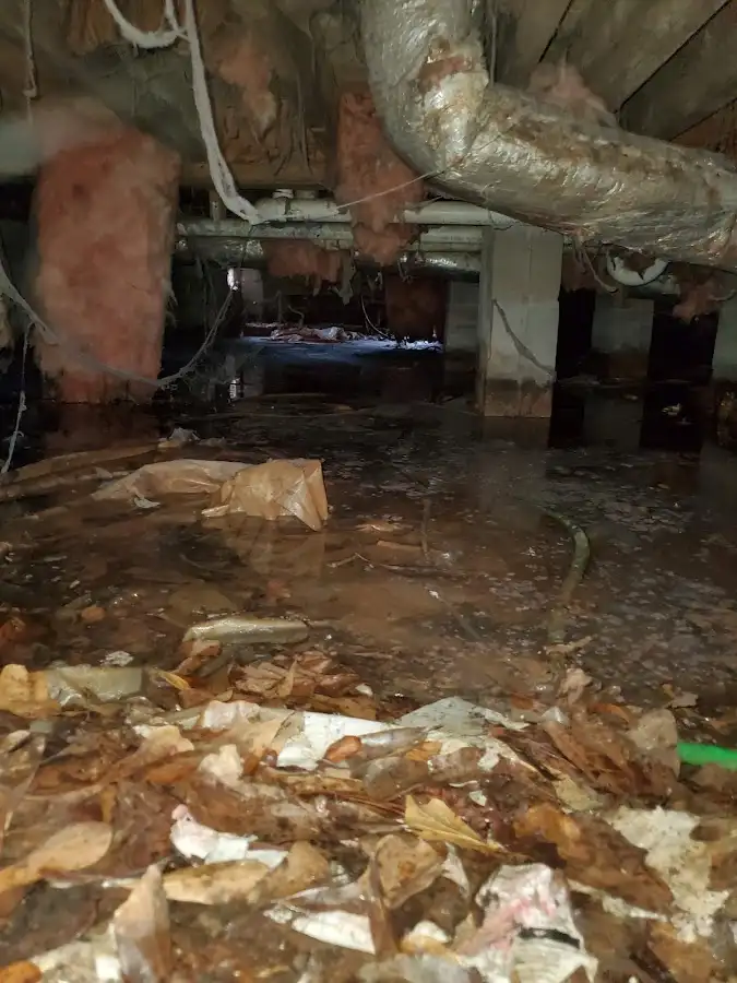 Crawl space flood assessment for Leak Detection & Repair in Leesville