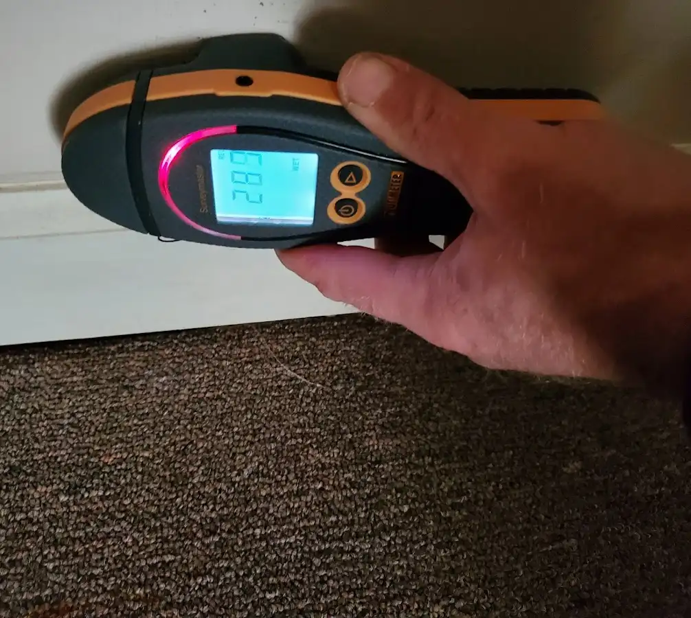 Moisture detection at baseboard during Mold Inspection & Testing in Leesville